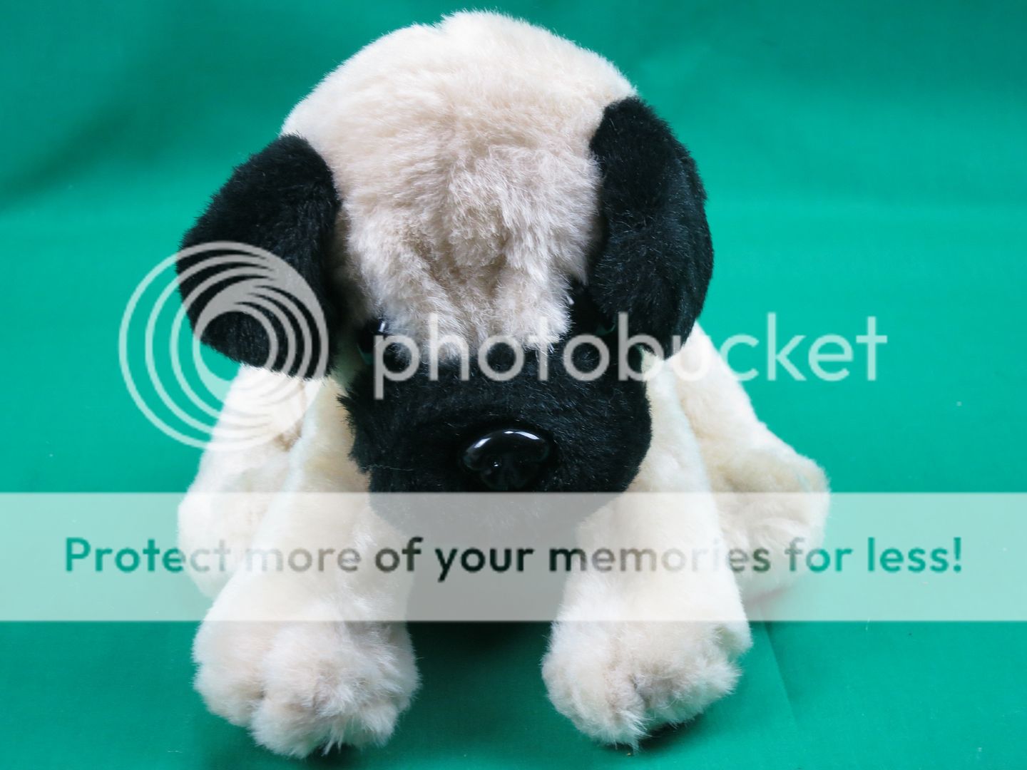 circo plush dog